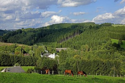 CHOUFFE la vallée des fees Ardennes 400