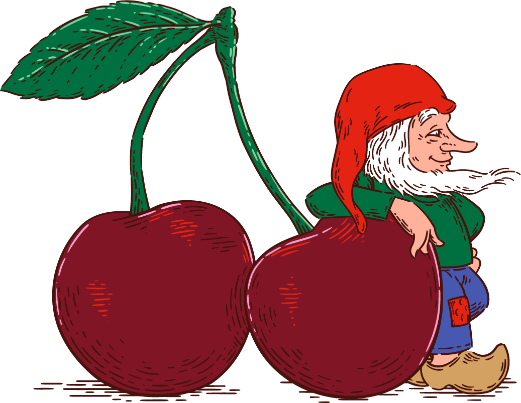 Chouffe LP Cherry Marcel 1